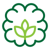 eco-brain.png